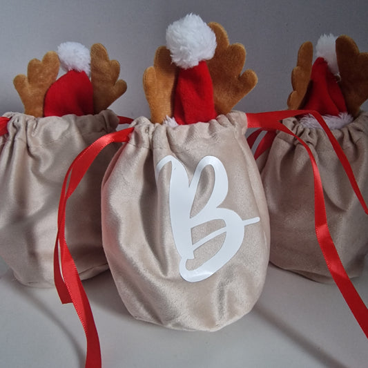 Christmas Pouch for Dogs