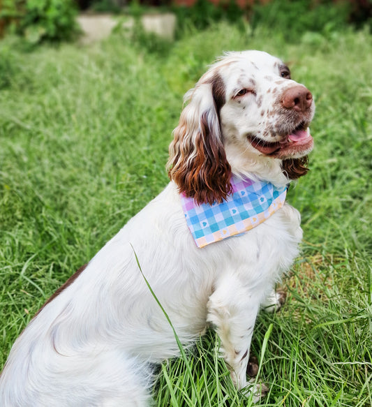 Summer of Colour Bandana