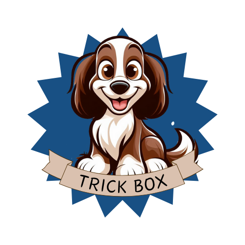 Trick Box Subscription