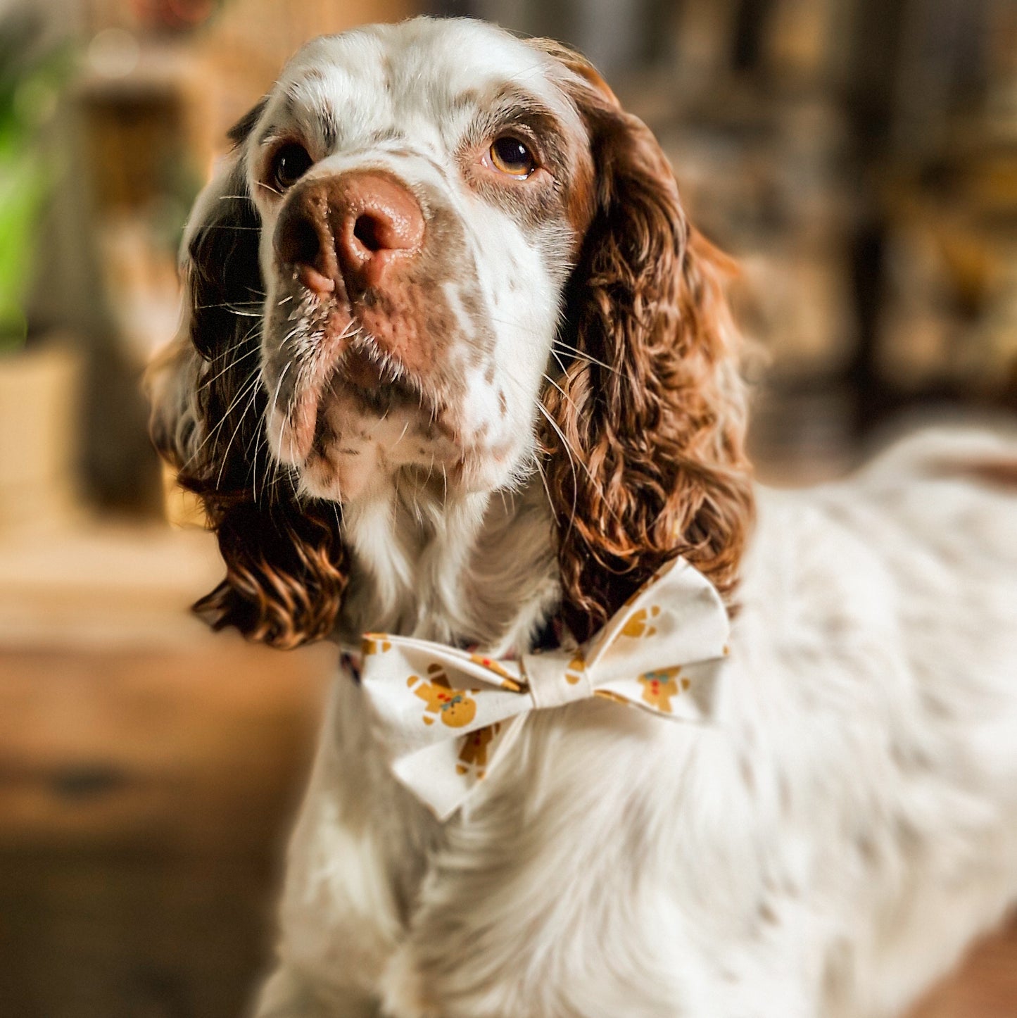 Gingerbread Kisses Bow Tie